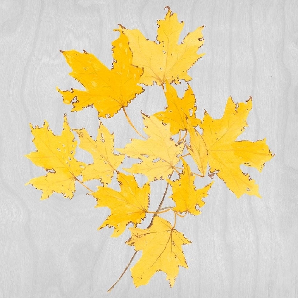 Autumn Leaves VII Poster Print - Dianne Miller-VARPDX137345GG Image 1