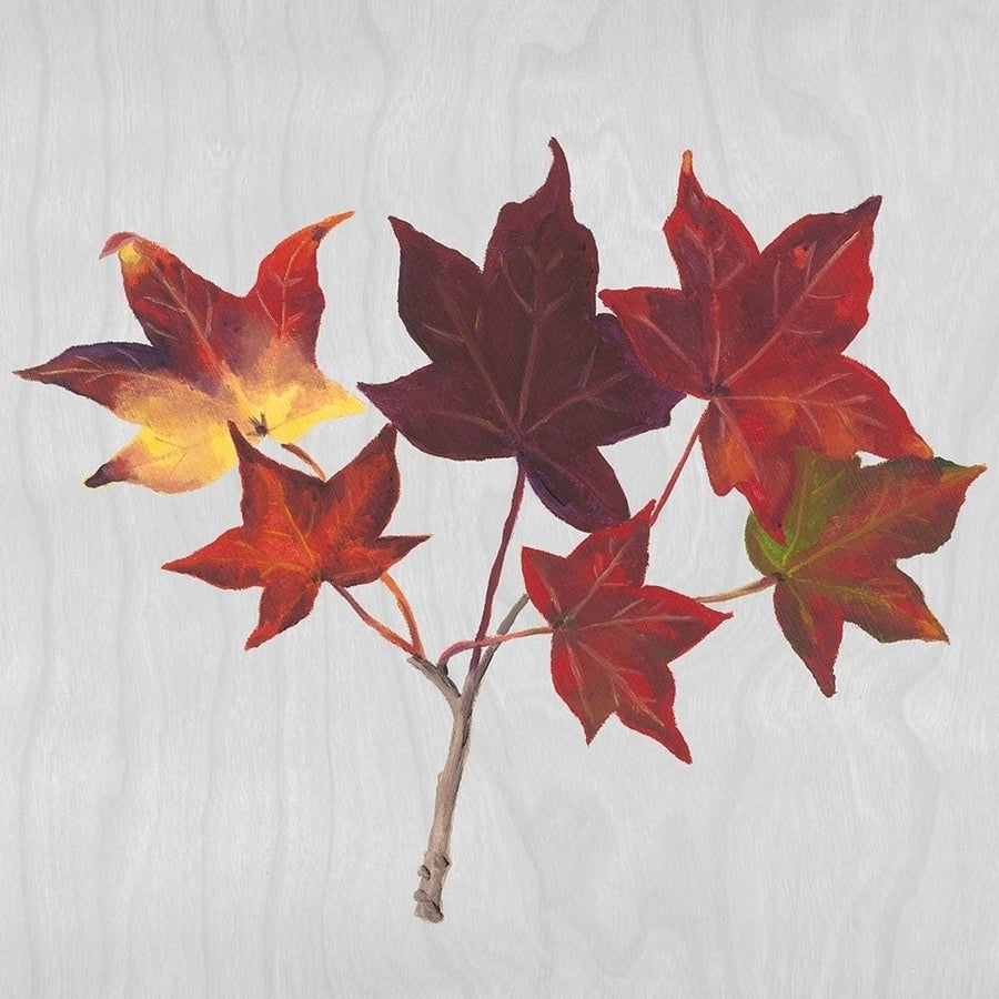 Autumn Leaves I Poster Print - Dianne Miller-VARPDX137339GG Image 1