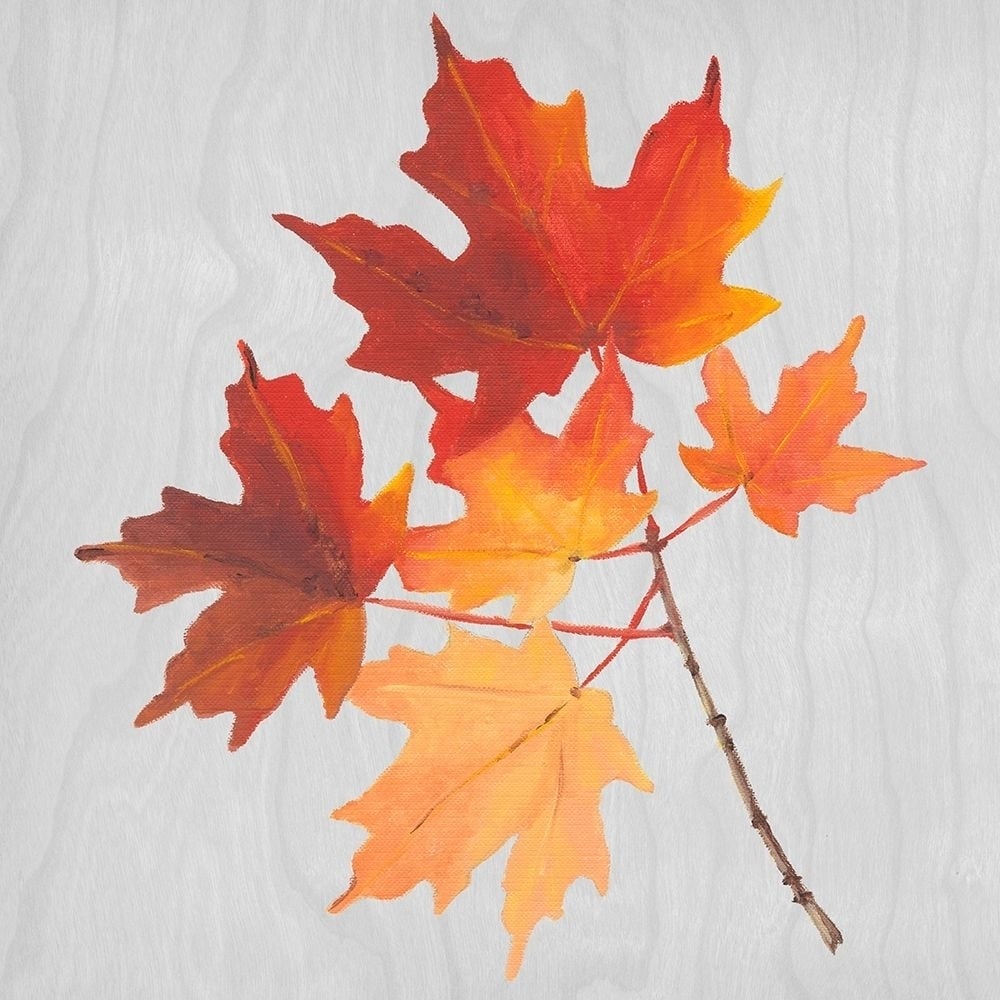 Autumn Leaves IV Poster Print - Dianne Miller-VARPDX137342GG Image 1