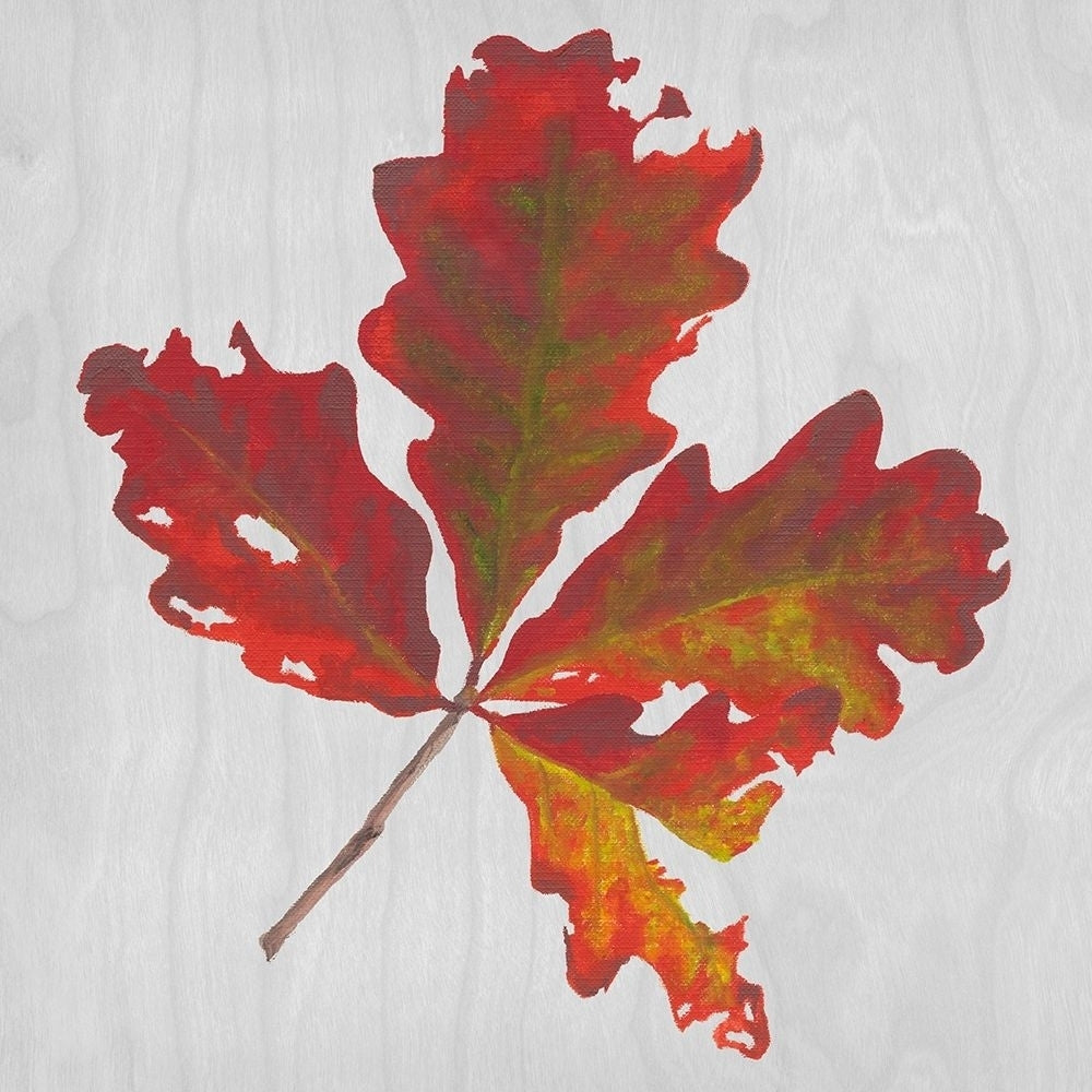 Autumn Leaves V Poster Print - Dianne Miller-VARPDX137343GG Image 1