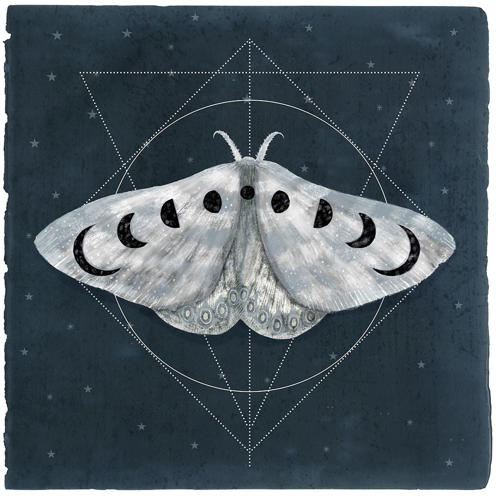 Midnight Moth II Poster Print - Victoria Borges-VARPDX137716GG Image 1