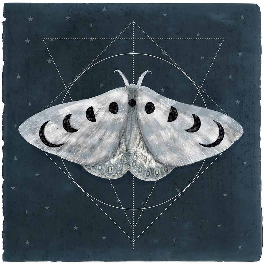 Midnight Moth II Poster Print - Victoria Borges-VARPDX137716GG Image 1