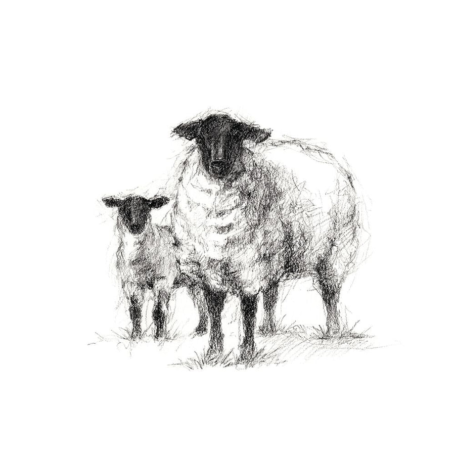 Charcoal Sheep Study I Poster Print - Ethan Harper-VARPDX138168Z Image 1