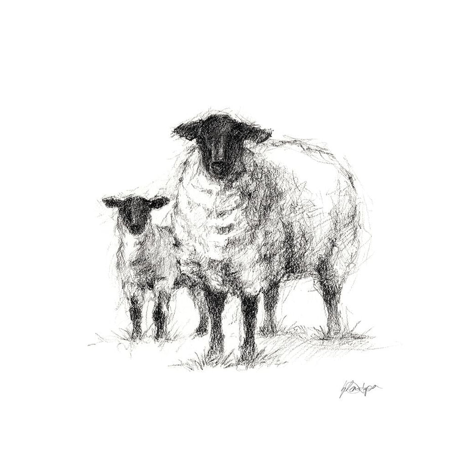 Charcoal Sheep Study I Poster Print - Ethan Harper-VARPDX138168FN Image 1