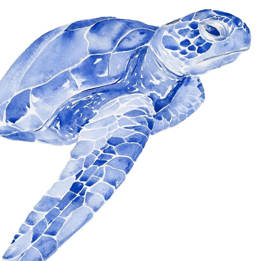 Ultramarine Sea Turtle II Poster Print - Jennifer Paxton Parker-VARPDX139133Z Image 1