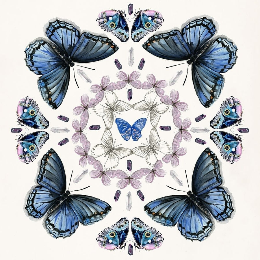 Butterfly Mandala II Poster Print - Jennifer Paxton Parker-VARPDX141018GG Image 1