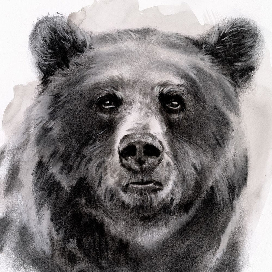 Bear Grin II Poster Print - Jennifer Paxton Parker-VARPDX142634GG Image 1