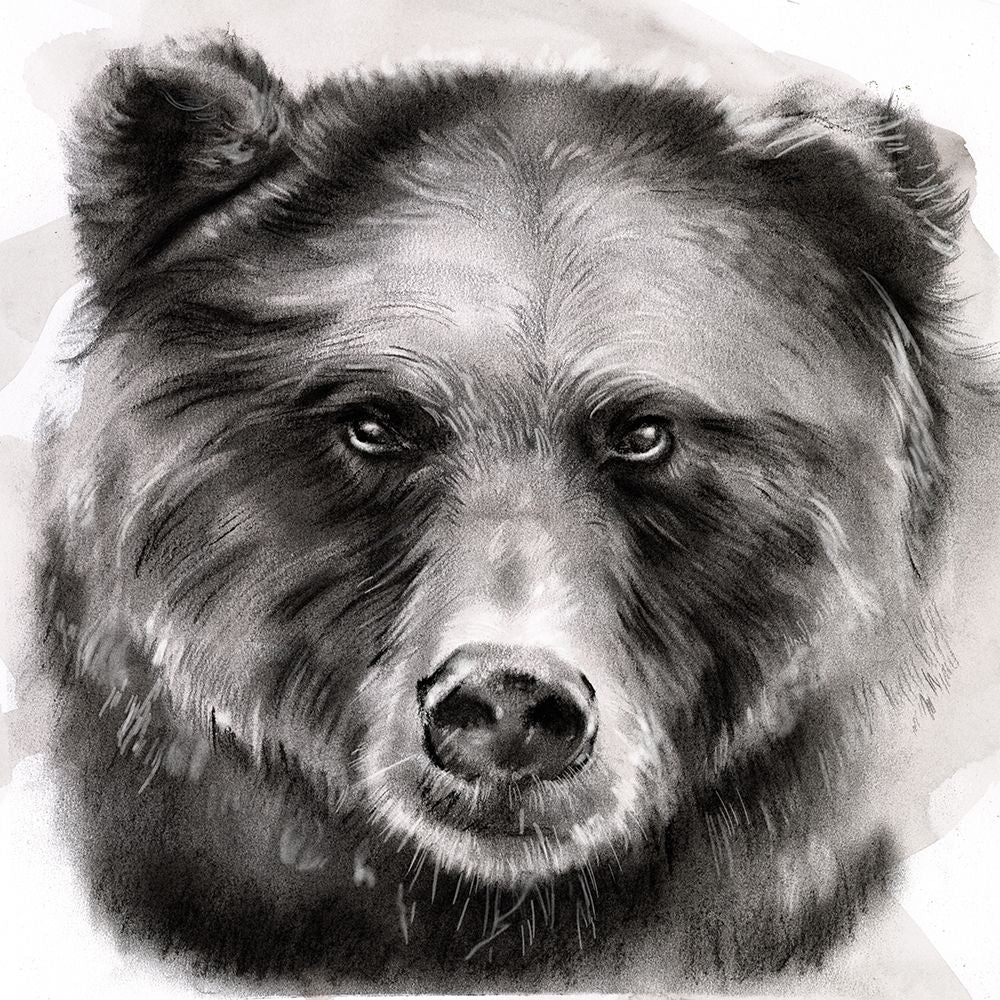 Bear Grin I Poster Print - Jennifer Paxton Parker-VARPDX142633GG Image 1