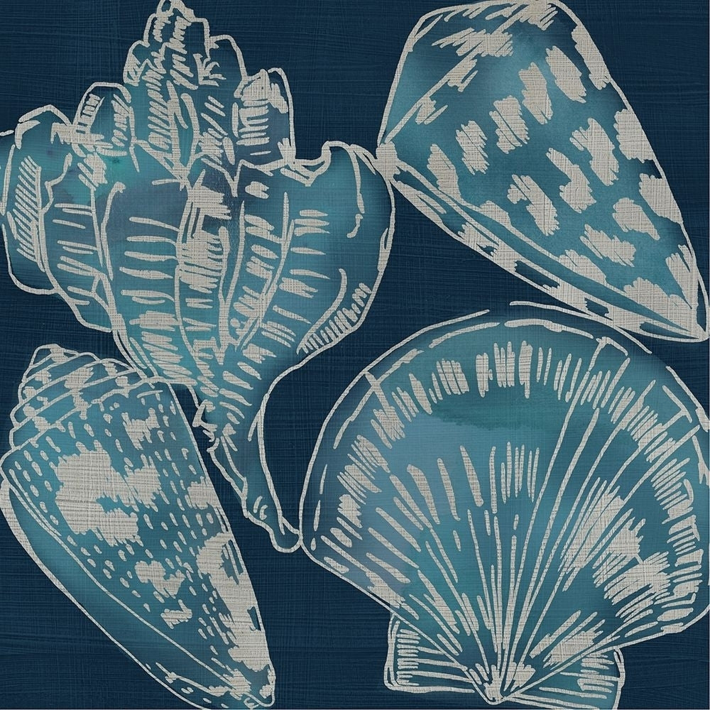 Marine Shells II Poster Print - Chariklia Zarris-VARPDX144800D Image 1