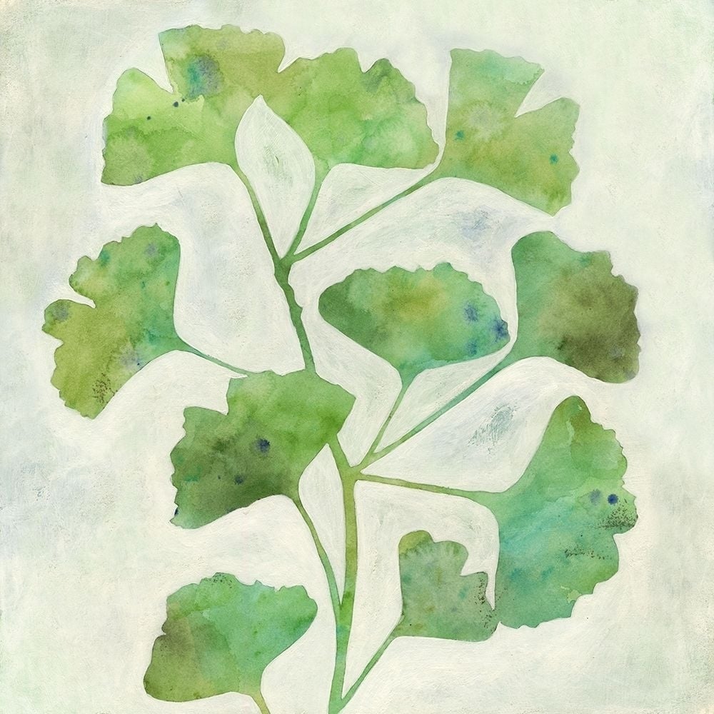 Ginkgo Green II Poster Print - Megan Meagher-VARPDX146167Z Image 1