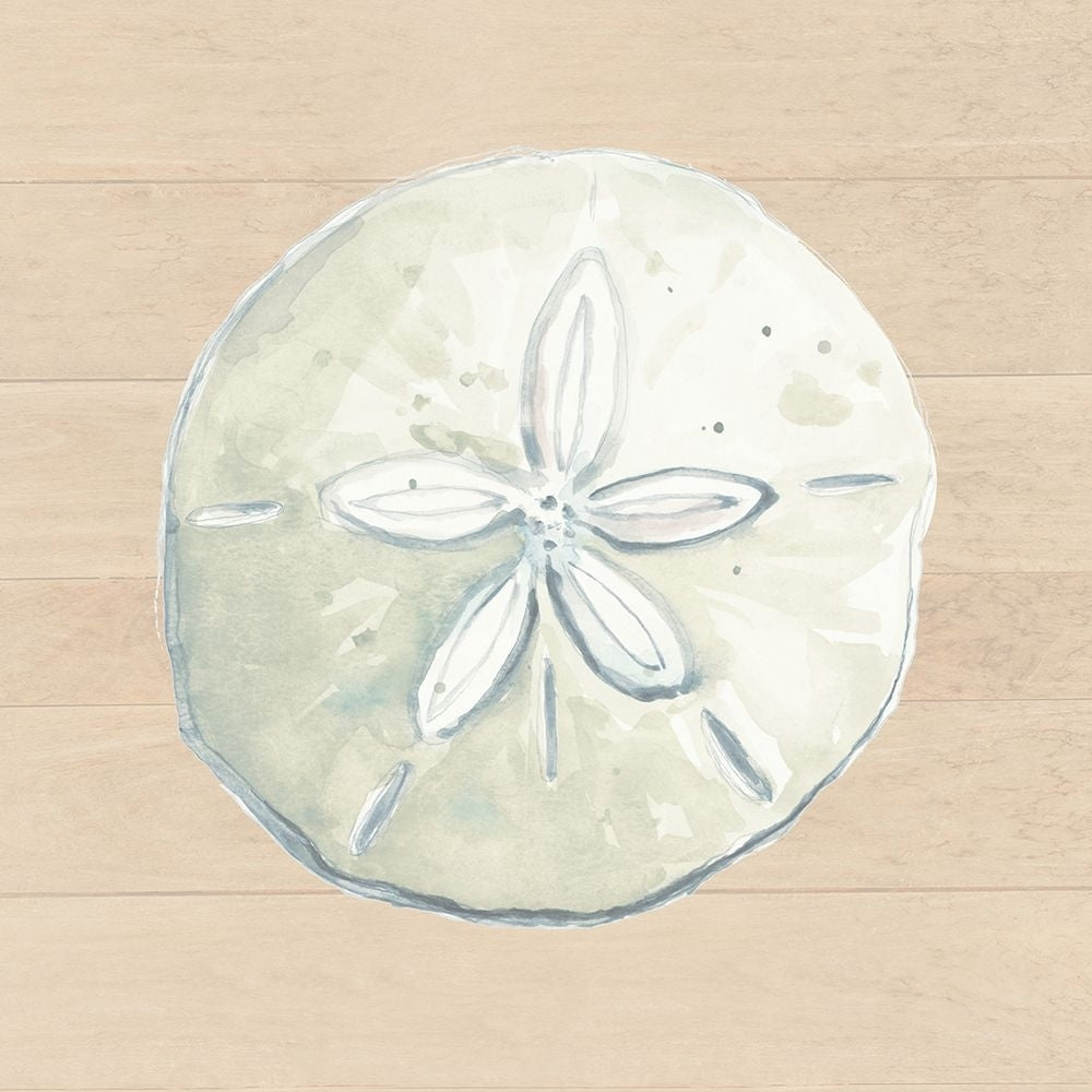 Sand Dollar On Wood Background Poster Print - Patricia Pinto-VARPDX14670G Image 1