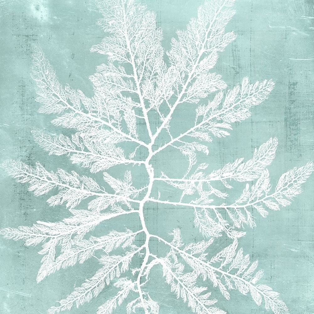 Seaweed on Aqua I Poster Print - Studio Vision-VARPDX147336Z Image 1