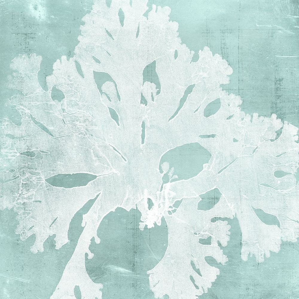 Seaweed on Aqua V Poster Print - Studio Vision-VARPDX147340Z Image 1