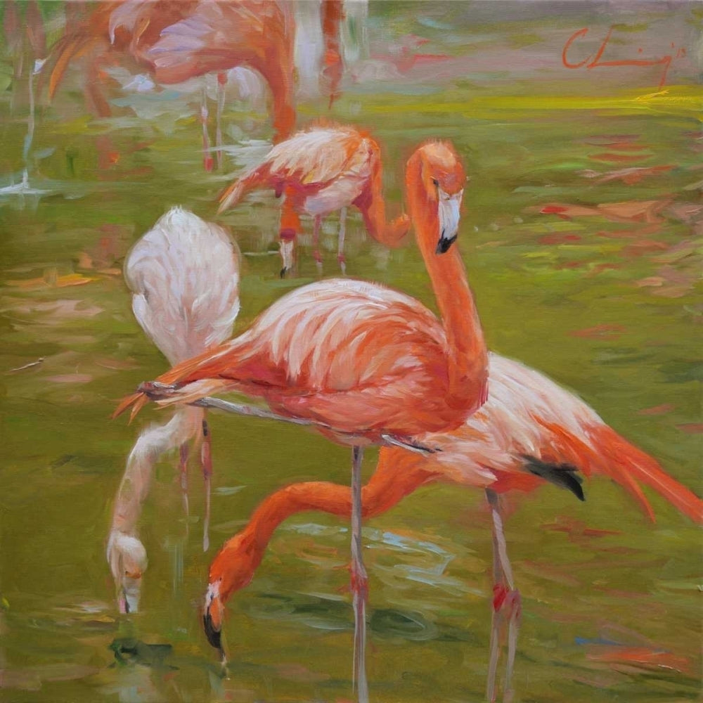 Flamingo I Poster Print - Chuck Larivey-VARPDX147505Z Image 1