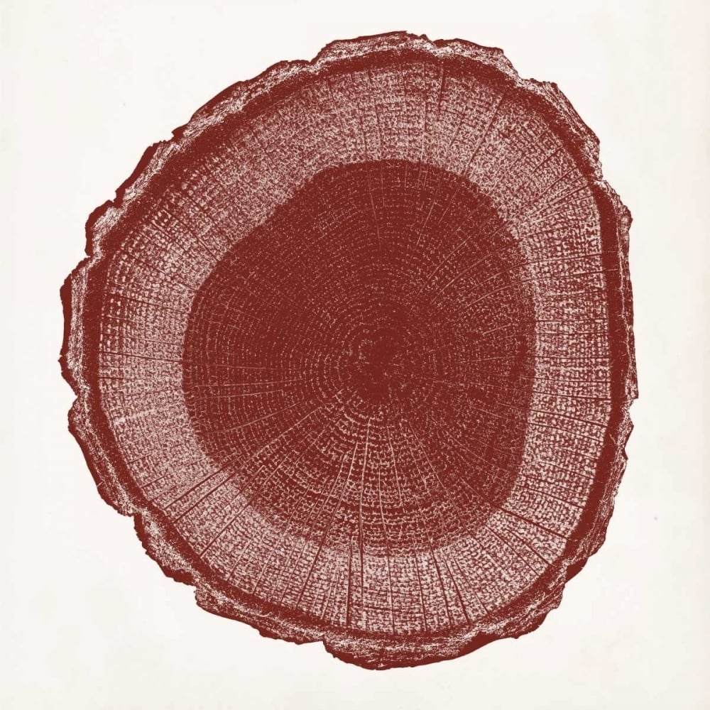 Tree Ring I Poster Print - Studio Vision-VARPDX147816Z Image 1