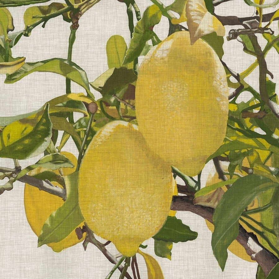 Bright Citrus III-VARPDX148872Z Image 1