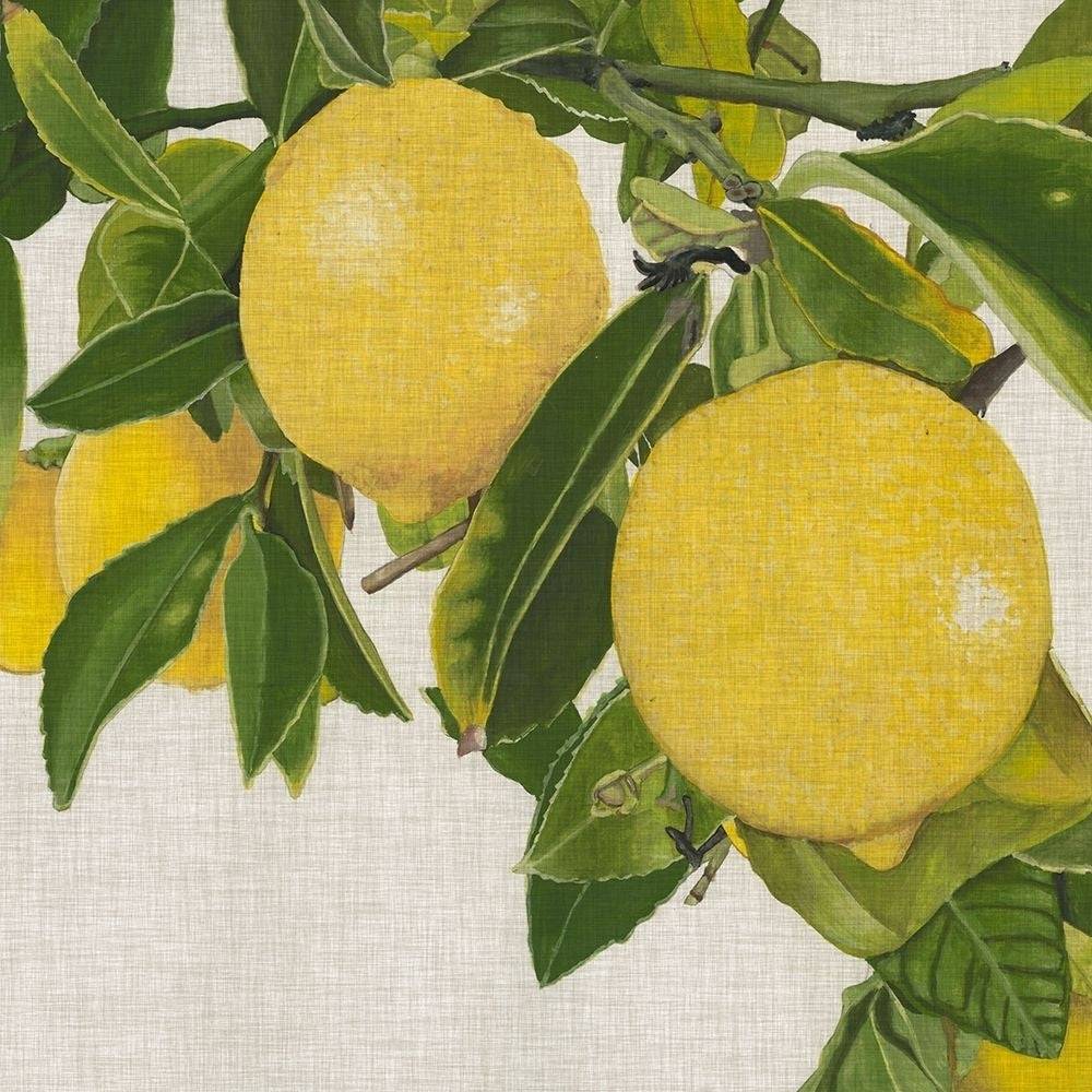 Bright Citrus IV-VARPDX148873Z Image 1