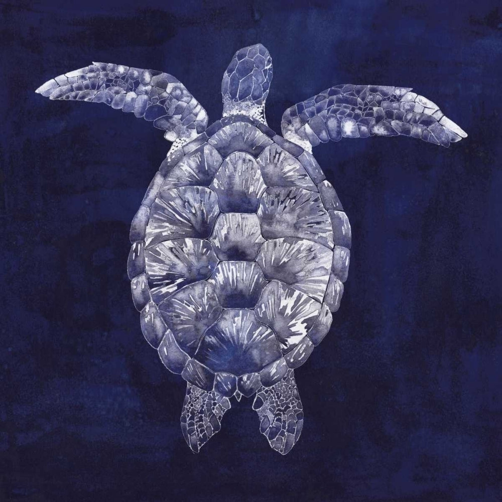 Sea Turtle Shadow I Poster Print - Grace Popp-VARPDX149423GG Image 1