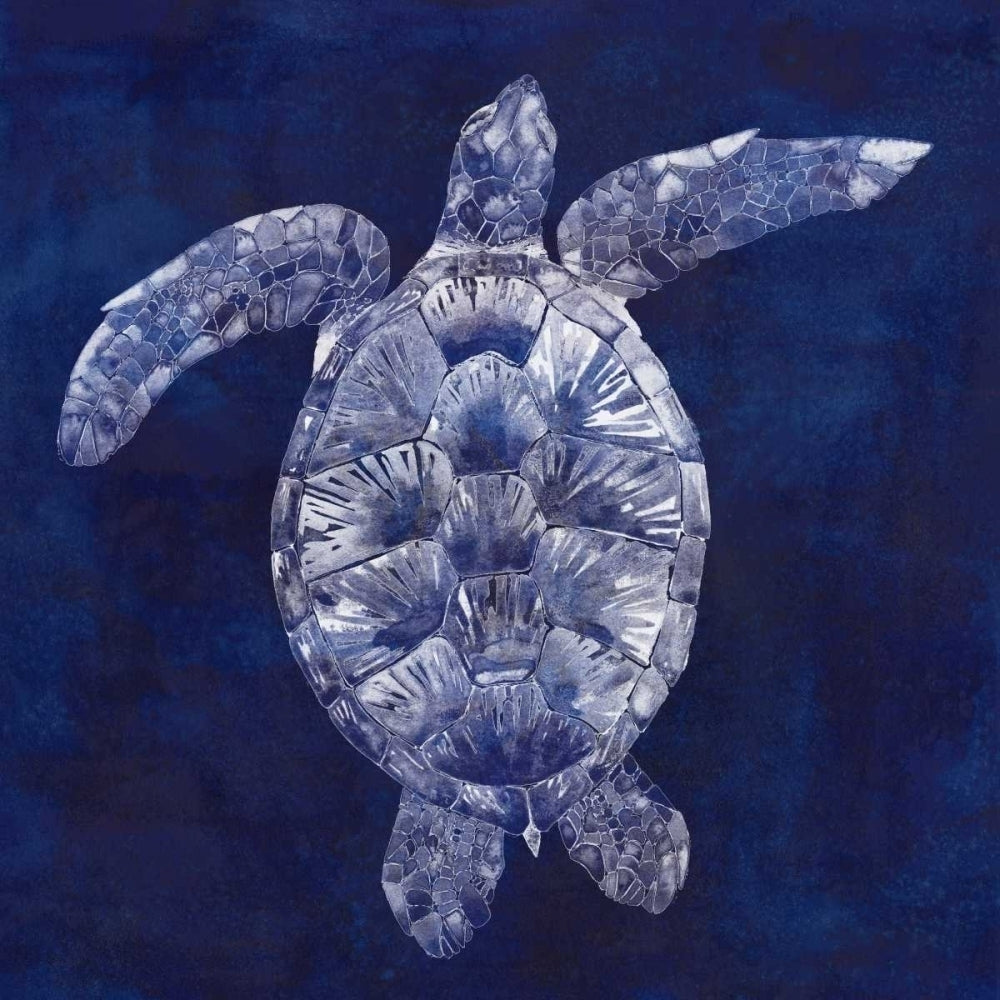 Sea Turtle Shadow II Poster Print - Grace Popp-VARPDX149424GG Image 1