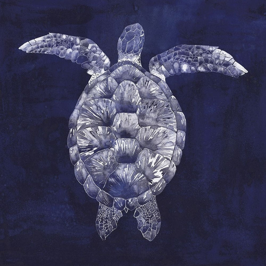 Custom Sea Turtle Shadow I-VARPDX150788VM Image 1