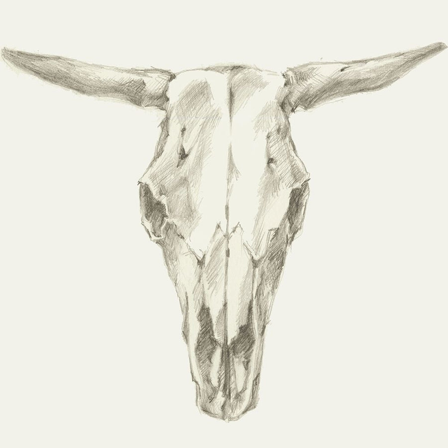 Custom Western Skull Mount II-VARPDX150791VM Image 1