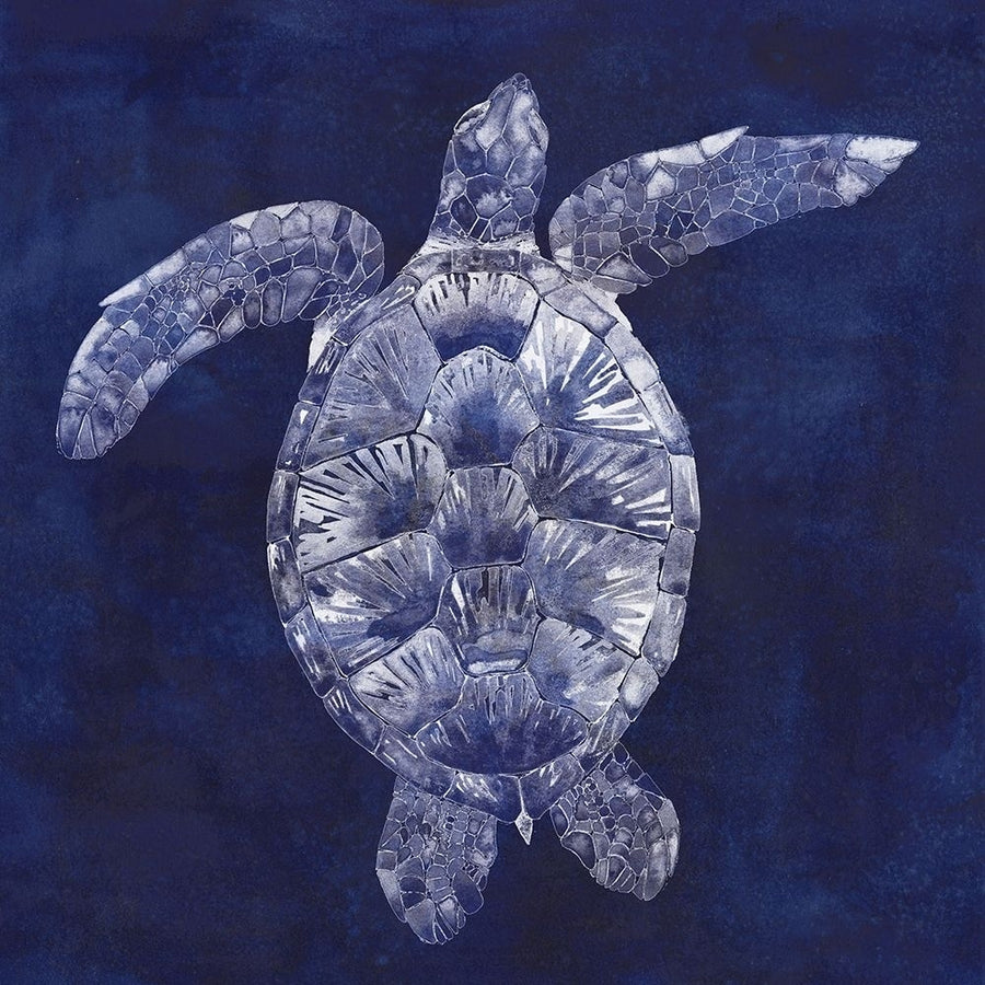 Custom Sea Turtle Shadow II-VARPDX150789VM Image 1