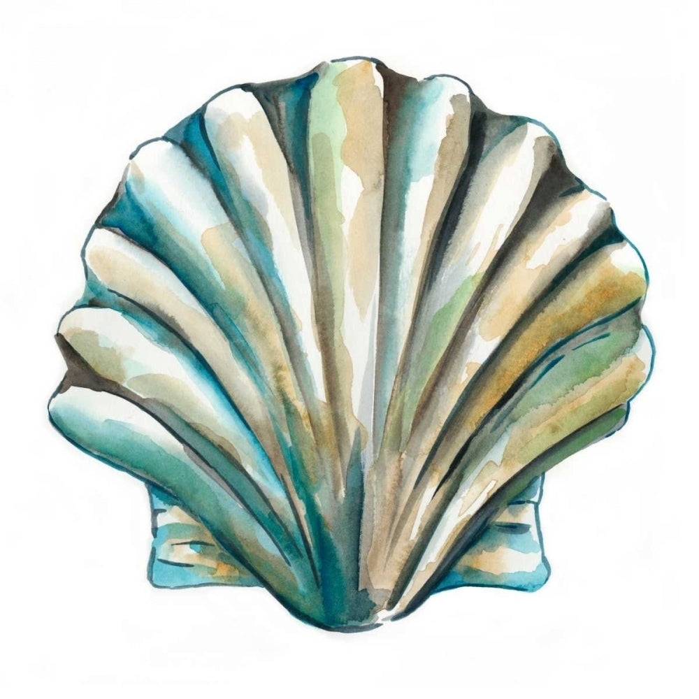 Aquarelle Shells VI Poster Print - Chariklia Zarris-VARPDX150751Z Image 1