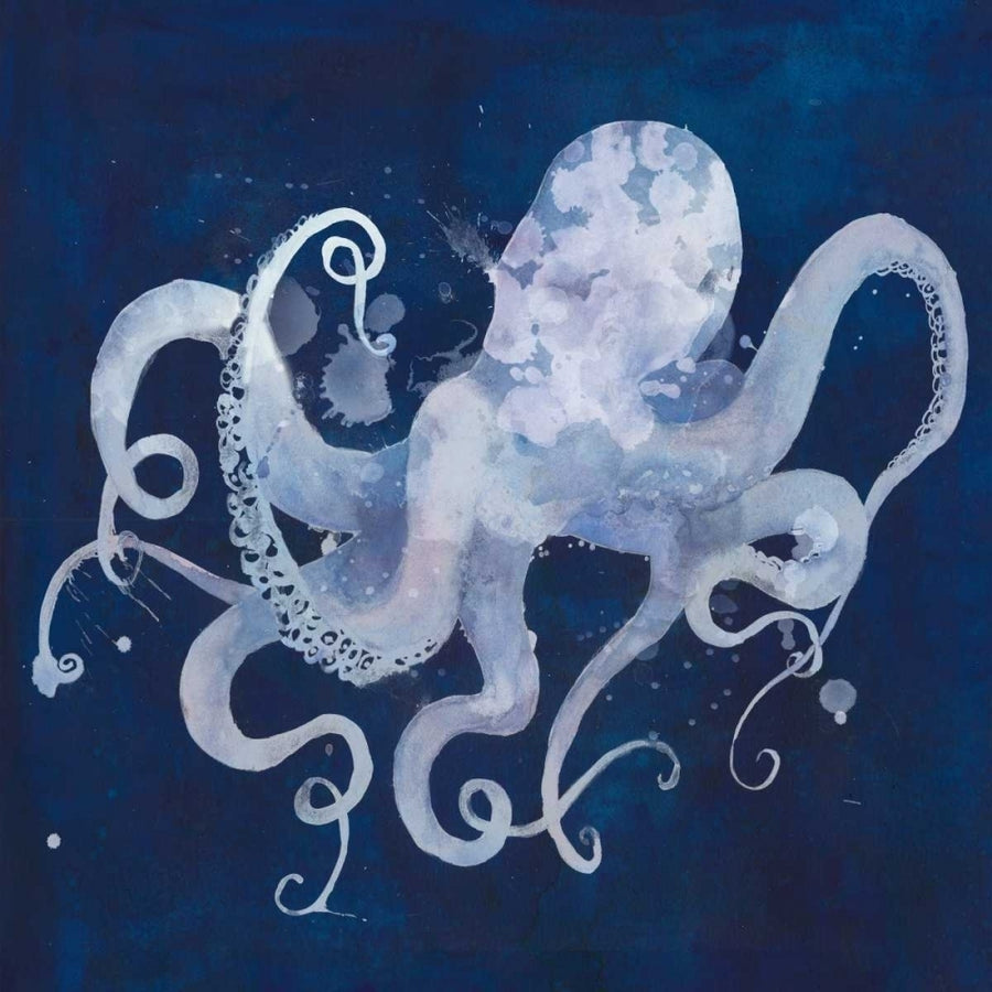 Octopus Shadow II Poster Print - Grace Popp-VARPDX152103GG Image 1