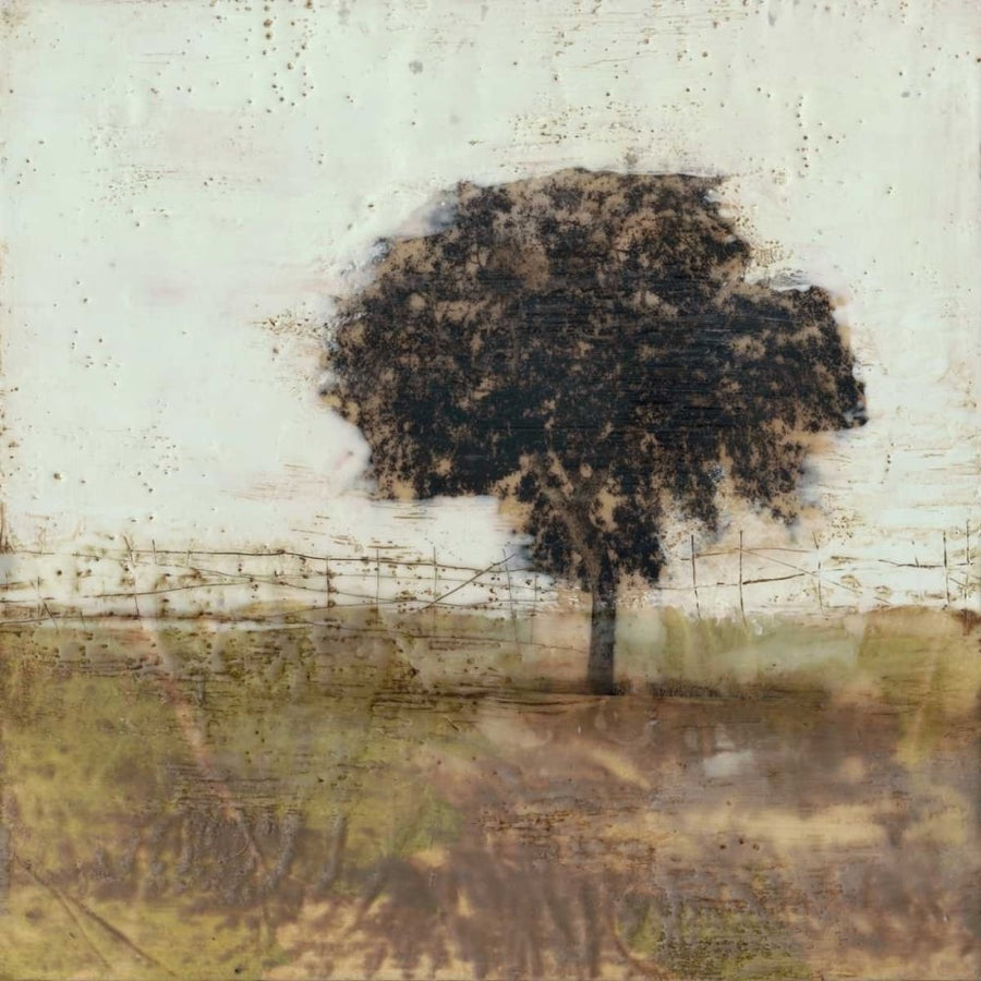 Tree in the Meadow I Poster Print - Jennifer Goldberger-VARPDX154611FN Image 1