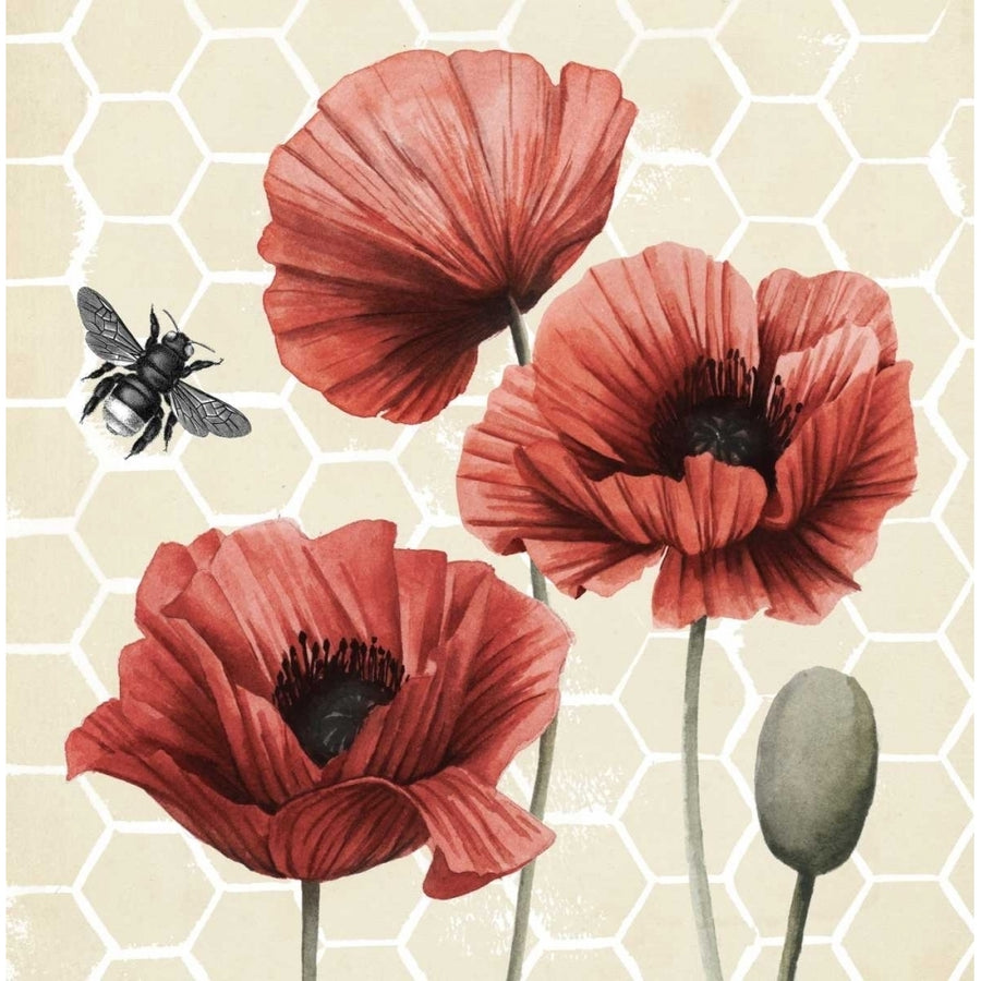 Poppy Buzz I Poster Print - Grace Popp-VARPDX154586D Image 1