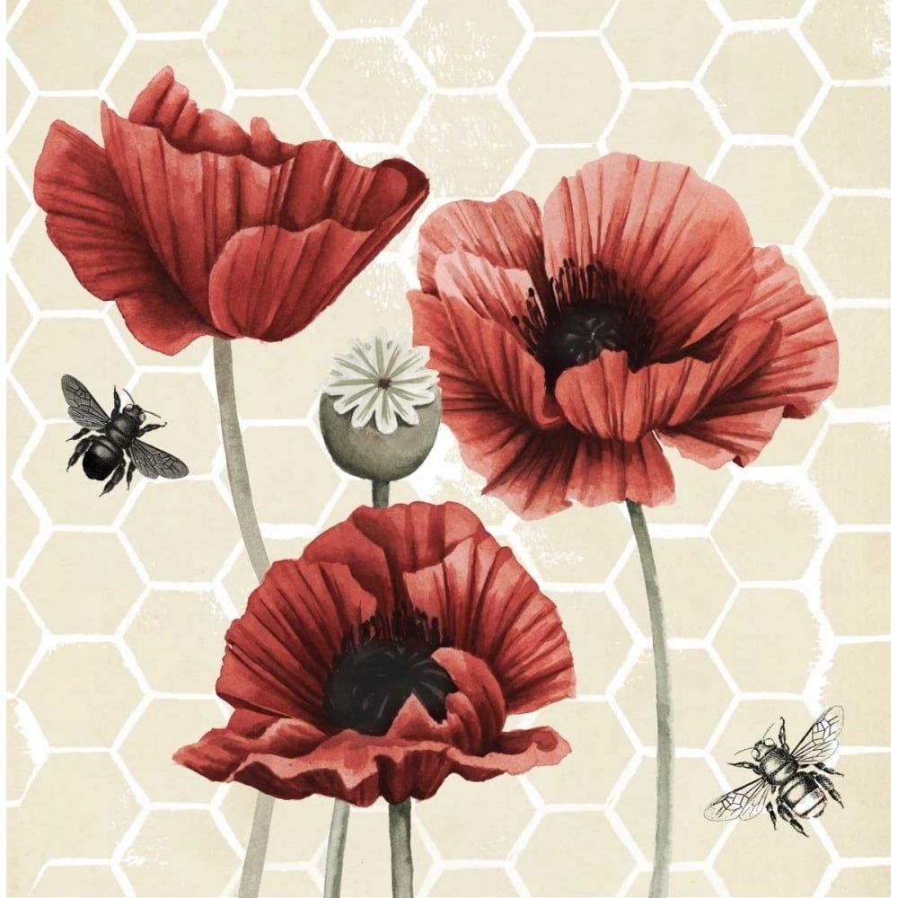 Poppy Buzz II Poster Print - Grace Popp-VARPDX154587D Image 1