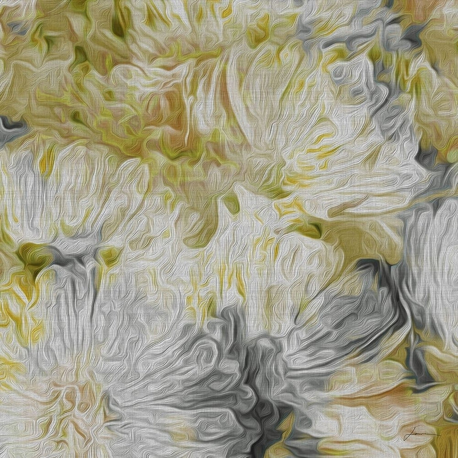 Custom Mums in Sun I-VARPDX154933VM Image 1