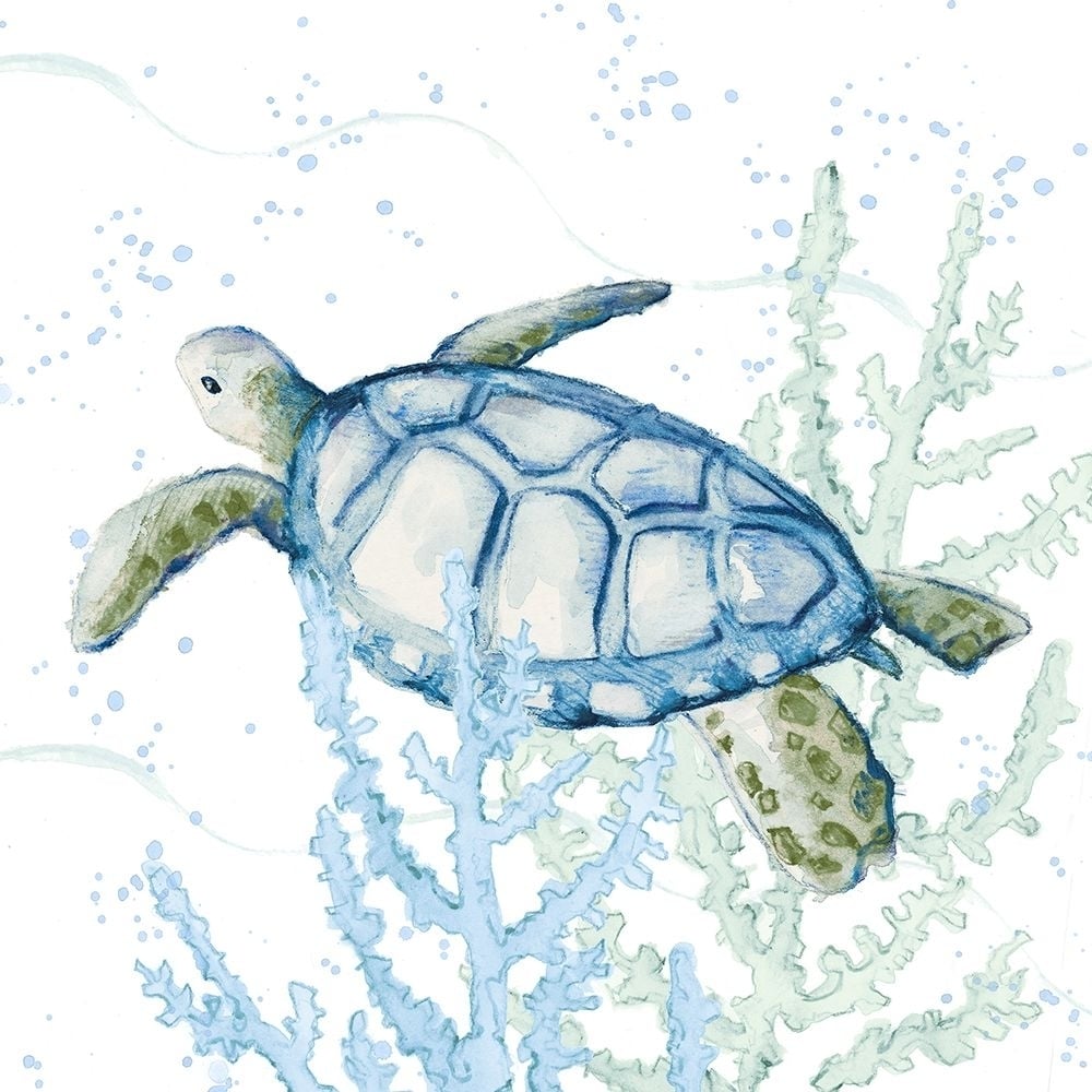 Blue Sea Turtle In Coral Poster Print - Lanie Loreth-VARPDX15493CA Image 1