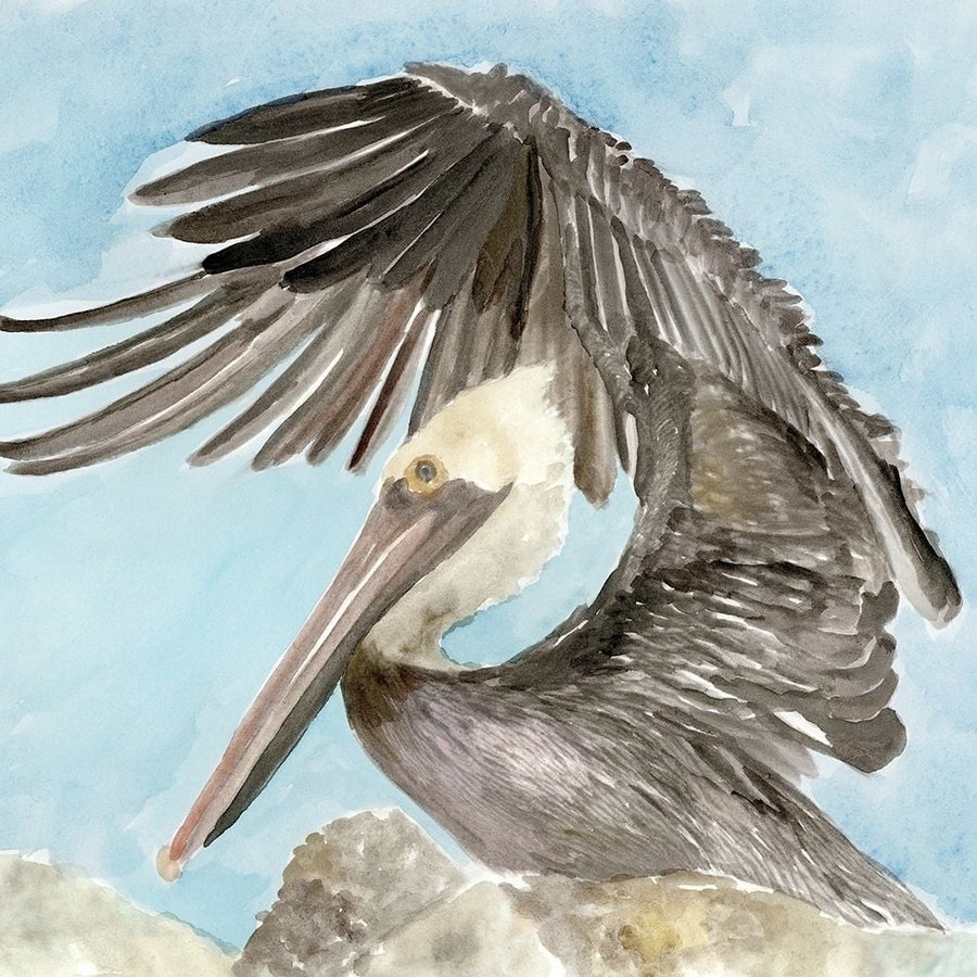 Soft Brown Pelican II Poster Print - Design Studio Stellar-VARPDX157759Z Image 1