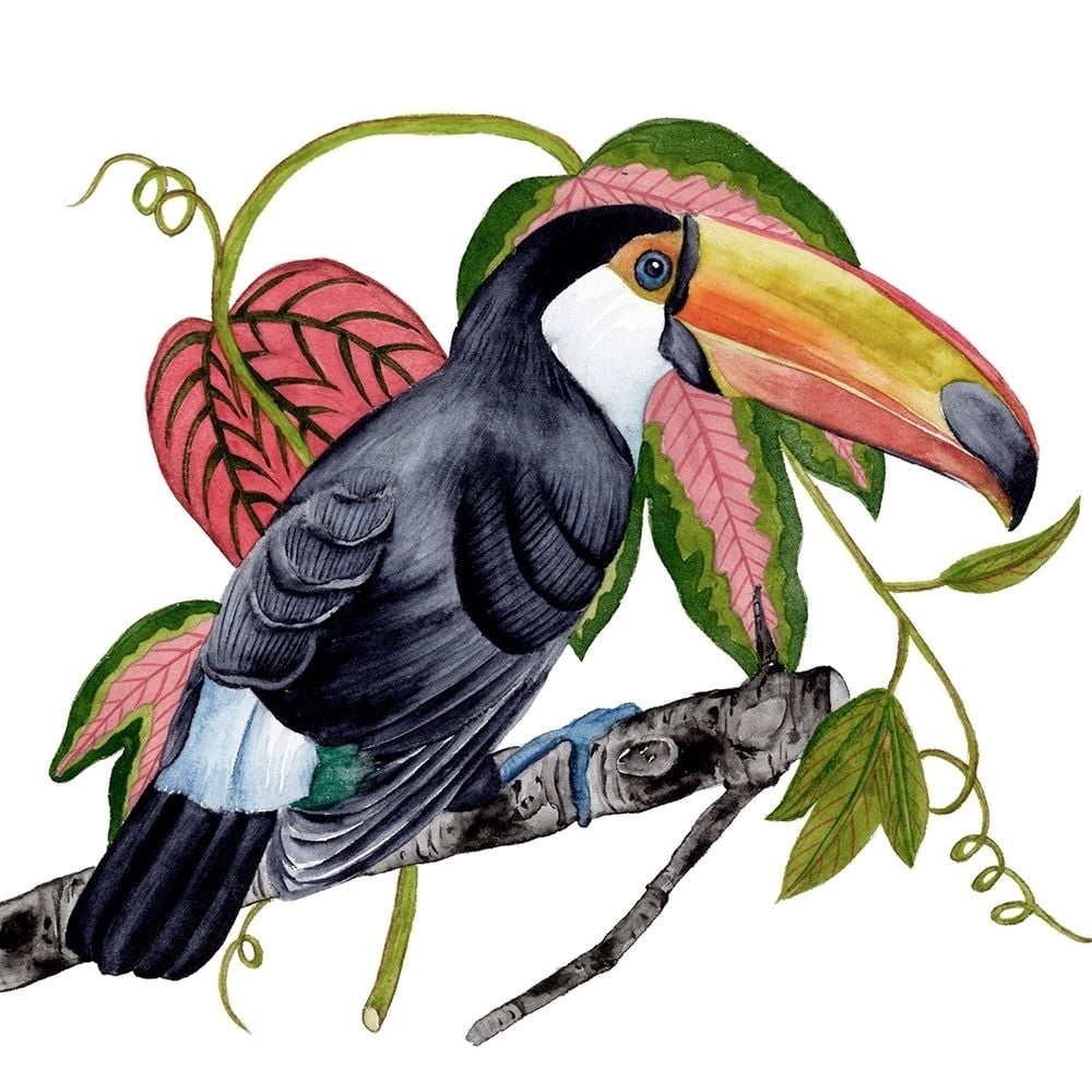 Toco Toucan II Poster Print - Melissa Wang-VARPDX164391Z Image 1