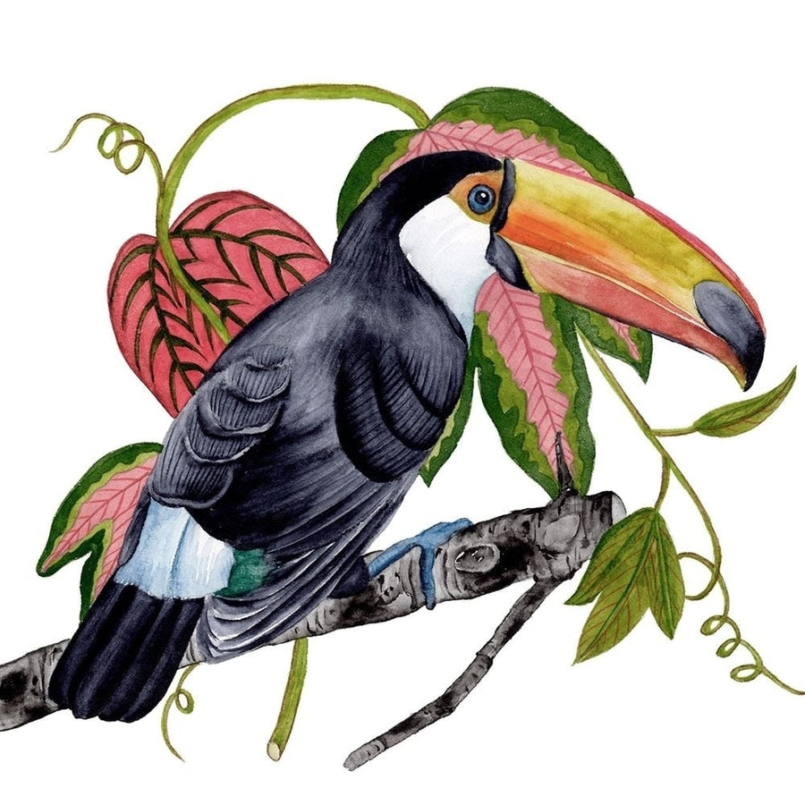 Toco Toucan II Poster Print - Melissa Wang-VARPDX164391Z Image 1