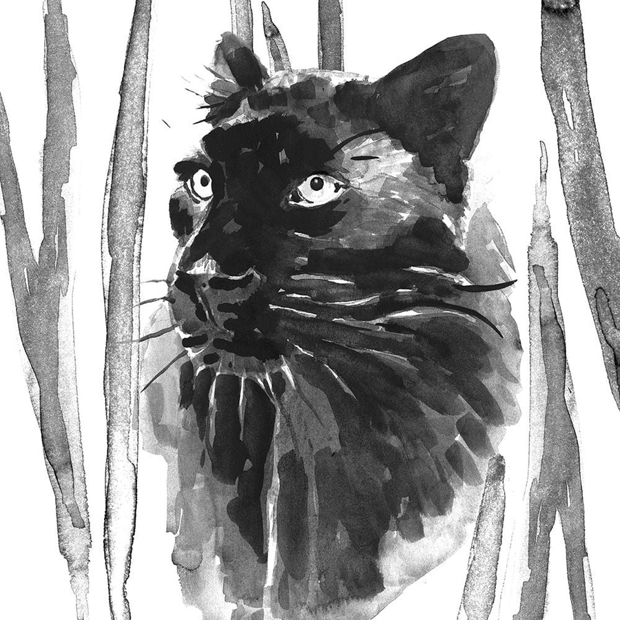 Still Cat I Poster Print - Annie Warren-VARPDX164412Z Image 1