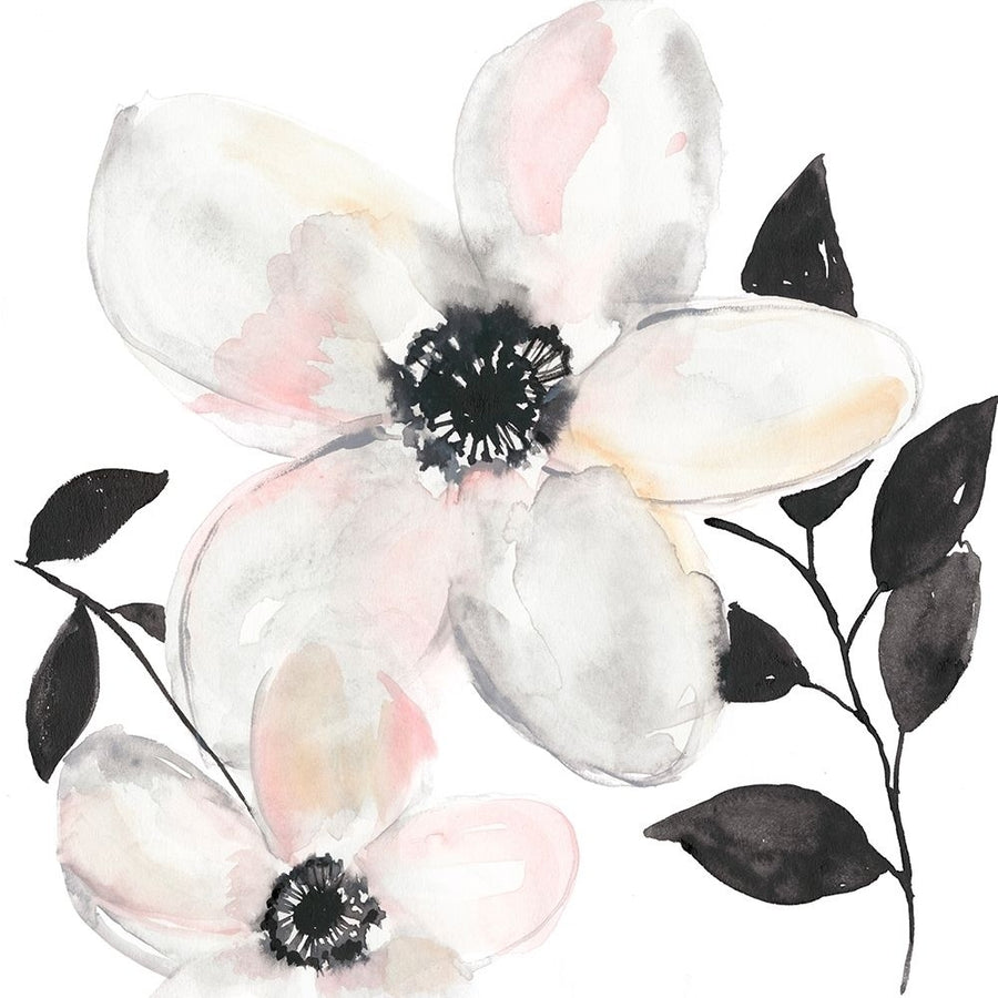 Black and Blush Anemone II Poster Print - Jennifer Goldberger-VARPDX165048FN Image 1