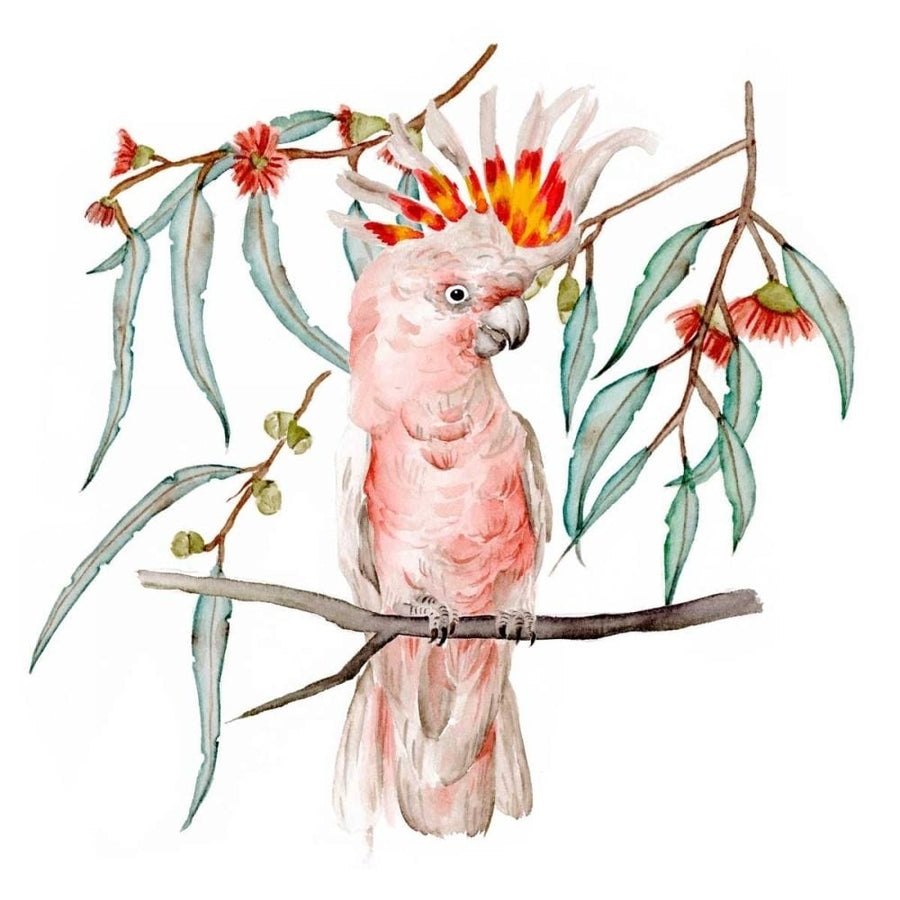 Pink Cockatoo II Poster Print - Melissa Wang-VARPDX168990Z Image 1