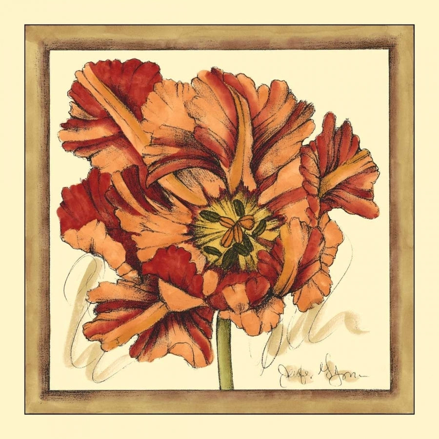 Tulip Study V Poster Print - Jennifer Goldberger-VARPDX16963Z Image 1