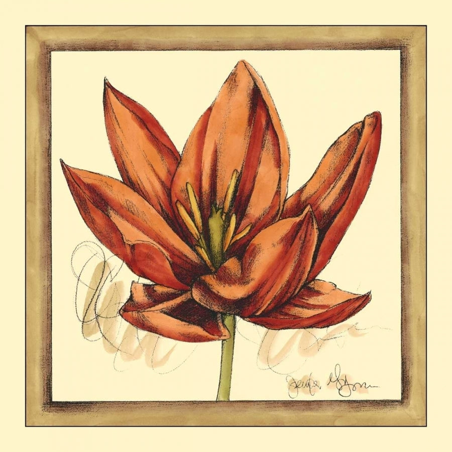 Tulip Study II Poster Print - Jennifer Goldberger-VARPDX16960Z Image 1