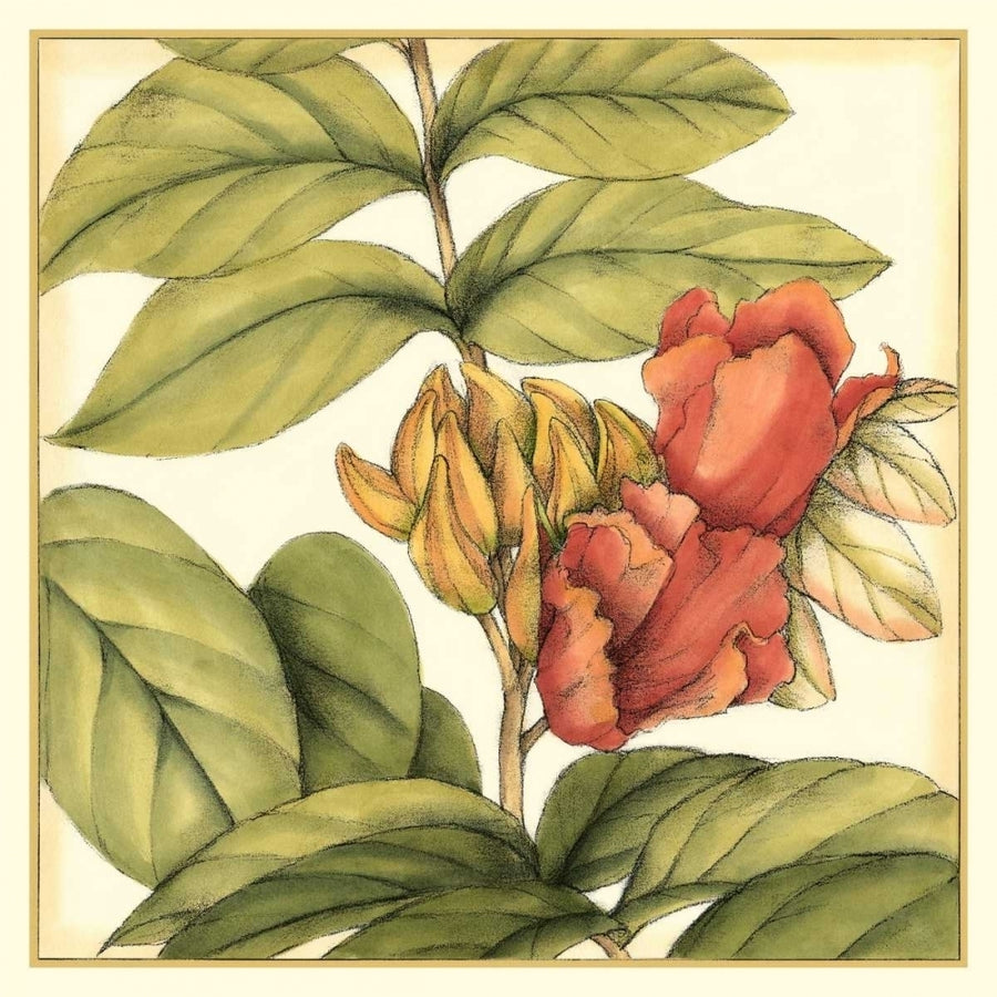 Tropical Blooms and Foliage III Poster Print - Jennifer Goldberger-VARPDX17221Z Image 1