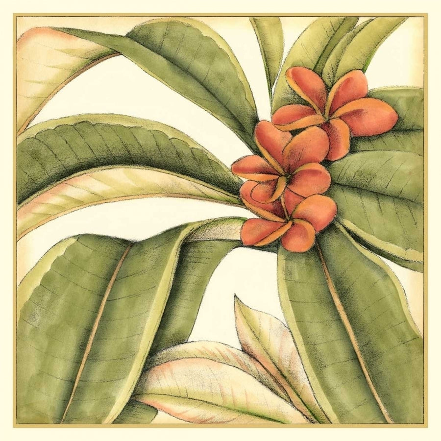 Tropical Blooms and Foliage I Poster Print - Jennifer Goldberger-VARPDX17219Z Image 1