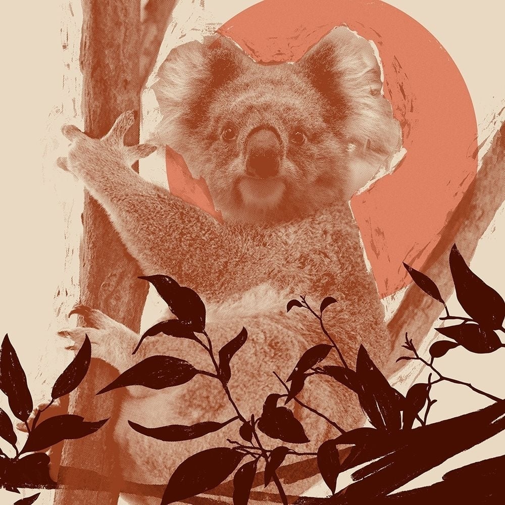 Pop Art Koala II Poster Print - Jacob Green-VARPDX172401Z Image 1