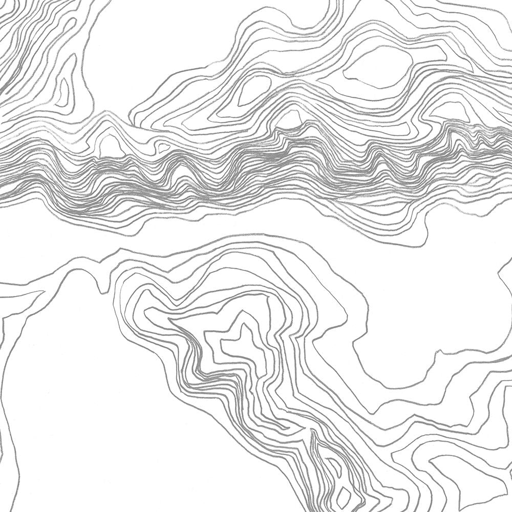 Topography Contour II Poster Print - June Erica Vess-VARPDX174156FN Image 1