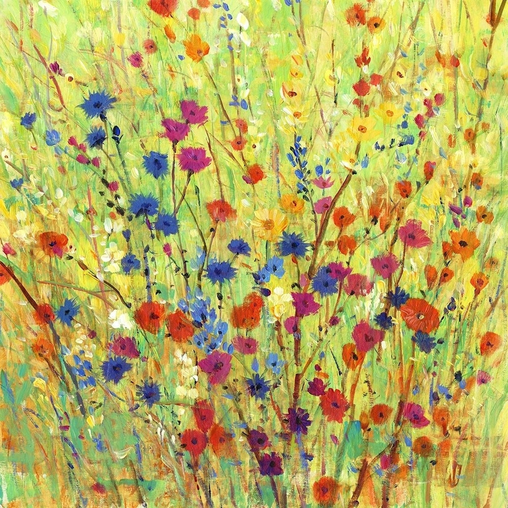 Wildflower Patch I Poster Print - Tim OToole-VARPDX176177FN Image 1