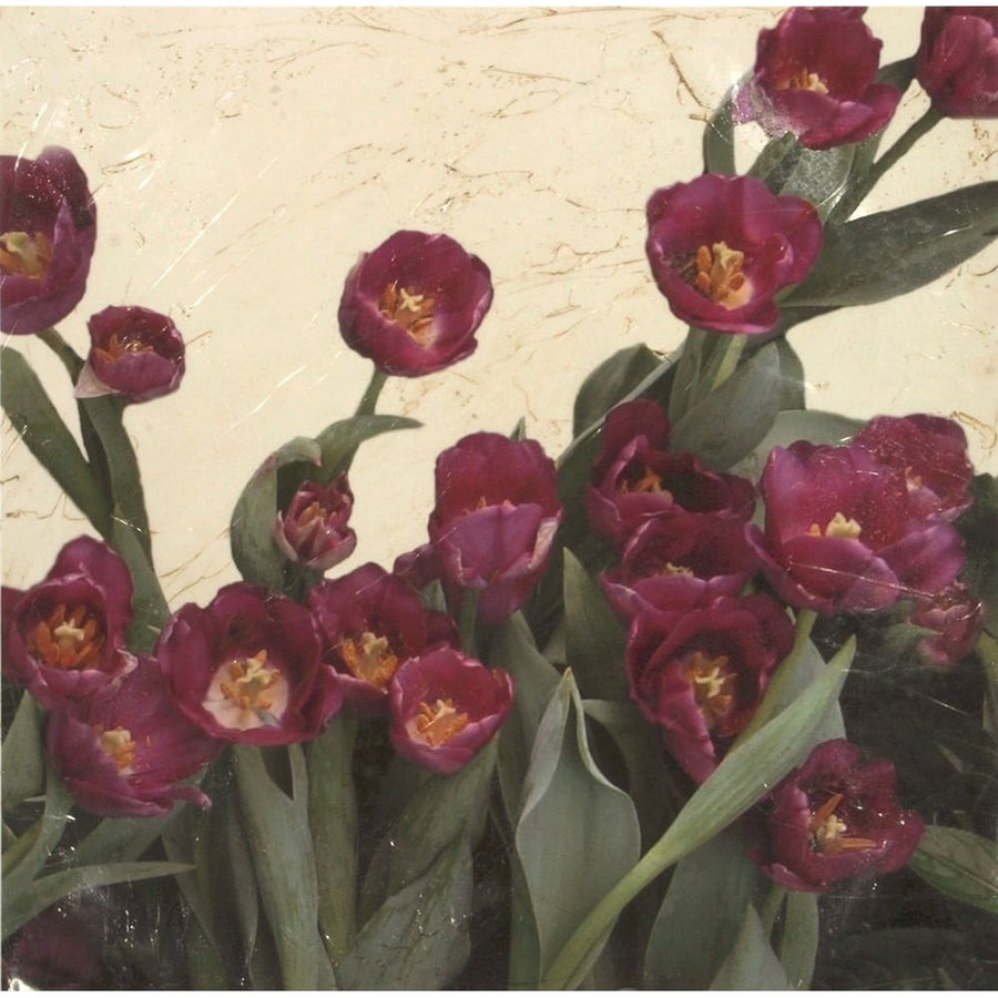 Spring Tulips II Poster Print - Megan Meagher-VARPDX17809ZE Image 1