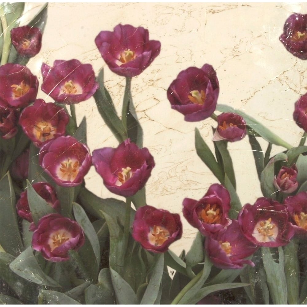 Spring Tulips I Poster Print - Megan Meagher-VARPDX17808ZE Image 1