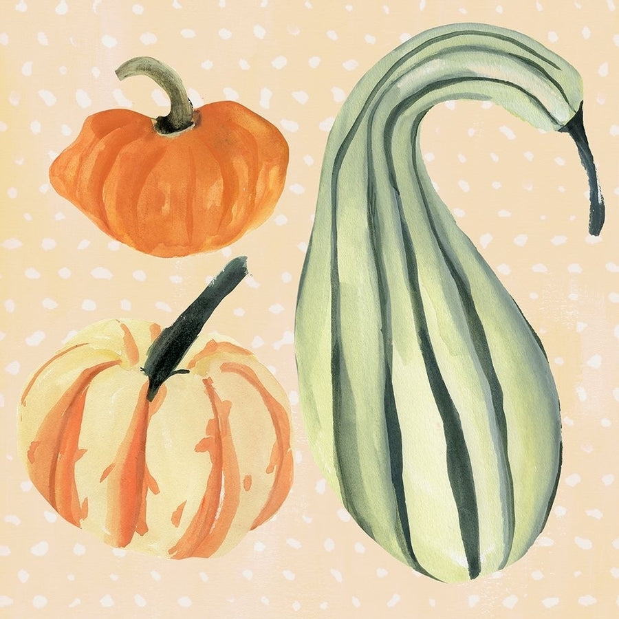 Decorative Gourd III Poster Print - Annie Warren-VARPDX178439Z Image 1