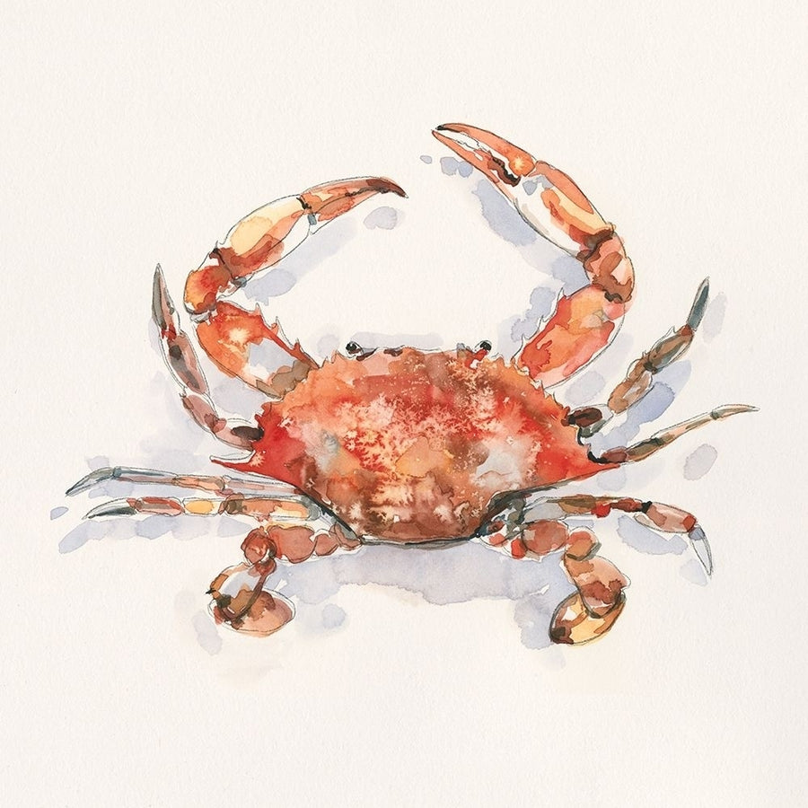 Crusty Crab I Poster Print - Emma Caroline-VARPDX178916Z Image 1